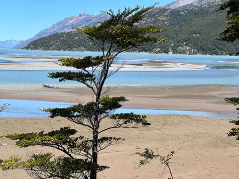 Las playas del lago Cisnes con la marea baja, un ciprés al frente y los cerros detrás