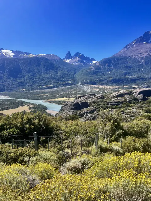 Las agujas del Cerro Castillo sobre un valle con un río turquesa y matorrales en flor