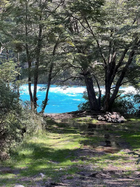 El agua turquesa del río Baker entre árboles, con un sendero y un claro