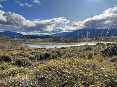 Una laguna entre pastizales dorados, con cerros bajos y nubes